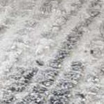 charcoal, gray, light gray, off white