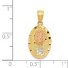 Black Bow Jewelry 14k Two Tone Gold and White Rhodium Lady Of Guadalupe 15 Pendant, 11mm - 4 of 4