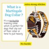 Country Brook Petz HossFit Jr Wide Martingale Dog Collar - Sports and Athletics Collection - 2 of 4