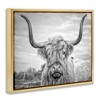 Stupell Industries Grey Highland Cow Photograph Floating Frame Canvas Art, Gold, 31" x 25" - 2 of 4