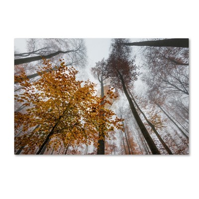 Daydreamer Autumn Forest Canvas Wall Art 30" x 47"