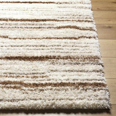 Hauteloom Maho Striped Shag Area Rug
