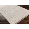 Hauteloom Manby Beige Jute Wool Blend Area Rug - 3 of 4
