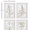 Plum & Post Daisy Prints, Set Of 4 - 3 of 4