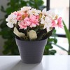 Unique Bargains Artificial Plants Autumn Cherry Blossoms Plastic 4.33"x4.33"x7.87" 1 Pcs - 2 of 4