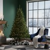 Northlight Full Canadian Pine Artificial Christmas Tree - 6' - Unlit - 4 of 4