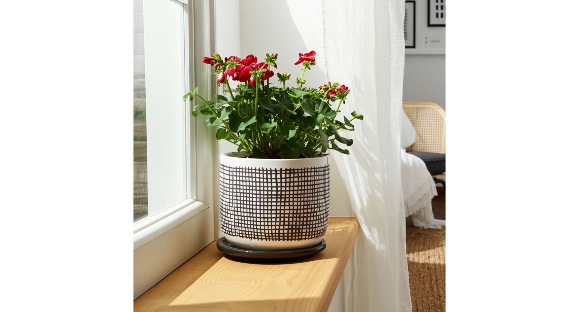 Stoneware Ceramic Saucer Planter with Drainage Hole