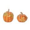 Transpac Dolomite 3.25 in. Orange Harvest Pretty Pumpkin Salt and Pepper Shakers Set of 2 - 2 of 4