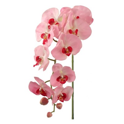 Floral Home 33.5" Pink Phalaenopsis Stem with 9 Flowers - 12-Piece