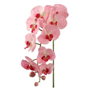 Floral Home 33.5" Pink Phalaenopsis Stem with 9 Flowers - 12-Piece - 1 of 2