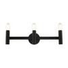 Livex Lighting Copenhagen 3 - Light Vanity in  Black - 2 of 4