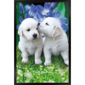 Trends International Keith Kimberlin - White Golden Retriever Puppies Framed Wall Poster Prints - 1 of 4
