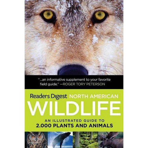 North American Wildlife Poster