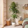 DR.Planzen 6/7/8FT Artificial Dracaena Tree in White Pot, Realistic Faux Dracaena Plant , Perfect Present for Indoor Outdoor Home Decor - 4 of 4
