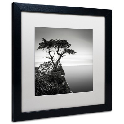 "The Lone Cypress" Outdoor Canvas