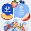 Gerber  Baby Food Pouches - Fruit & Yogurt Variety Pack - 9pk/3.5oz - 4 of 4