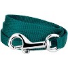 Country Brook Petz Nylon Dog Leash (3/8 Inch Wide) - 4 of 4