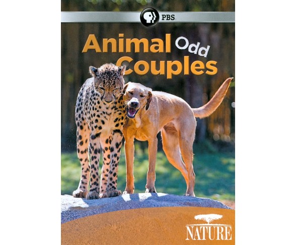 Nature: Animal Odd Couples (DVD)
