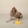 PetShop by Fringe Studio Just Floating By Dog Plush Toy - 3 of 3