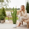 Fake Snake Plant 3 ft, Potted Artificial Sansevieria Plant Faux Decorative Tropical Trees with Lifelike Leaves, for Indoor Outdoor Decor - 4 of 4