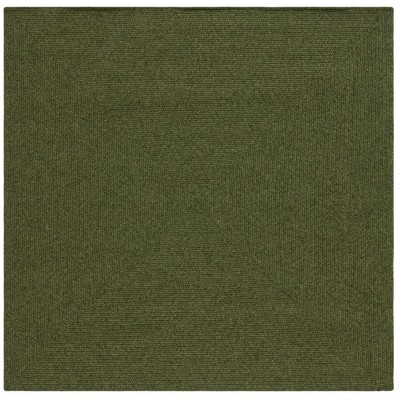 Safavieh Braided Rug Collection BRD315A - Green – Safavieh Home