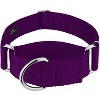 Country Brook Petz HossFit Jr Wide Martingale Dog Collar - Training Collar with No Buckle - Vibrant, Colorful Collection - 2 of 4
