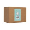 Pearhead Ceramic Decorative Banks - 4 of 4