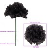 Floral Home 5" Pick Long Black Carnation Pick - 50-Piece - 3 of 4