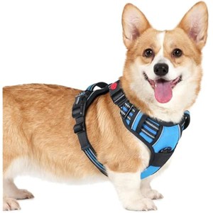 rabbitgoo Dog Harness Small Sized, No Pull Pet Harness with 3 Buckles, , Walking Reflective Pet Vest for Small Dogs, Sky Blue, S - 1 of 1