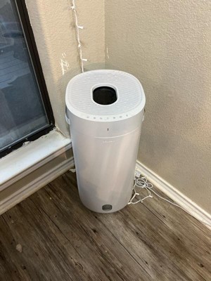 Guest review image 1 of 1, zoom in