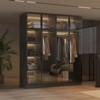 FUFU&GAGA Modern Luxury Style Wardrobe,Glass-Door Armoire,Freestanding Closet with Adjustable Lighting,Multi-Zone Storage for Bedroom ,Black - 2 of 4