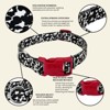 Country Brook Petz Deluxe Dairy Cow Dog Collar - Made in the U.S.A. (3/4 Inch, Small) - 3 of 4