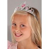 HalloweenCostumes.com M Girl Pretty in Pink Princess Girl's Costume Dress, Pink/Gray - 2 of 4