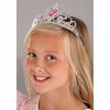 HalloweenCostumes.com XL Girl Pretty in Pink Princess Girl's Costume Dress, Pink/Gray - image 2 of 4