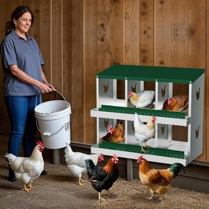 TackView Chicken Nesting Box, Hens Egg Nest Box, Metal Chicken Laying Box House with Rollout Egg Collection and Protective Lid - 1 of 4
