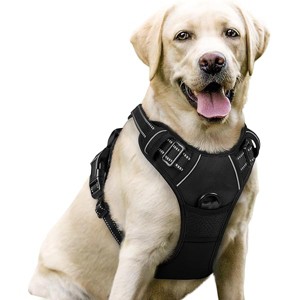rabbitgoo- Dog Harness No Pull with 2 Leash Clips, Vest with Easy Control Handle for Large Dogs, Black, L - 1 of 1