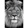 Trends International Reinders: Animals - Blue Eyed Lion Unframed Wall Poster Prints - 4 of 4