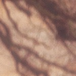 farmhouse gray