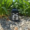 Disney 8.3" Minnie Mouse Solar Metal Outdoor Lantern Black: PVC Construction, White Light, No Battery Needed - 4 of 4