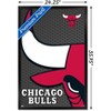 Trends International NBA Chicago Bulls - Logo 14 Framed Wall Poster Prints - 3 of 4