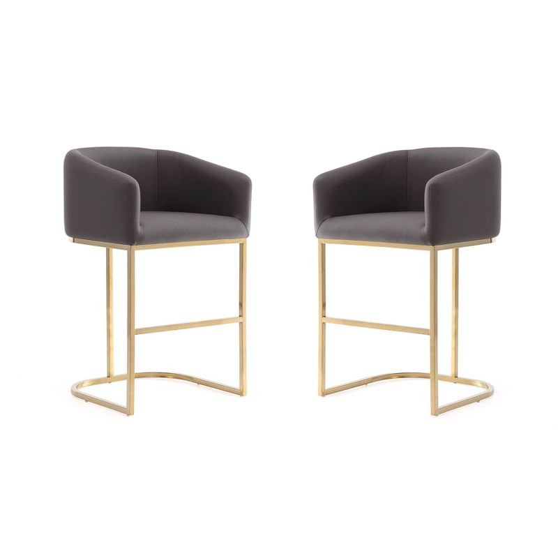 Set of 2 Louvre Upholstered Stainless Steel Counter Height Barstools - Manhattan Comfort, 1 of 9