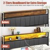 Queen Size Upholstered Platform Bed with Storage Drawers, USB Ports, and LED Lights for Bedroom or Apartment - 3 of 4
