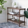 Rafiki 3 Shelf Console - CNS5715 - Safavieh - 2 of 4