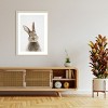 Amanti Art Peekaboo Bunny by Lola Peacock Wood Framed Wall Art Print - 4 of 4