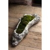 Slickblue Decorative Faux Bois Cement Log Planter with Wood Texture - 2 of 3
