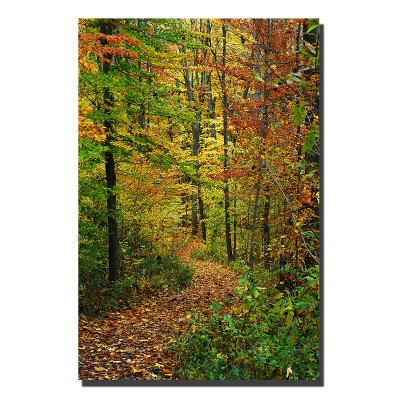 Trademark Fine Art -Kurt Shaffer 'Fall Trail' Canvas Art