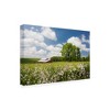 16" x 24" Flowers And Farm Holmes County Ohio by Monte Nagler - Trademark Fine Art: Canvas Wall Art, Unframed Digital Landscape - 2 of 4
