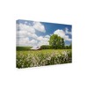 16" x 24" Flowers And Farm Holmes County Ohio by Monte Nagler - Trademark Fine Art: Canvas Wall Art, Unframed Digital Landscape - image 2 of 4