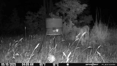 Guest review image 1 of 2, zoom in