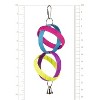 Prevue Pet Products Sisal Hoops - 2 of 3